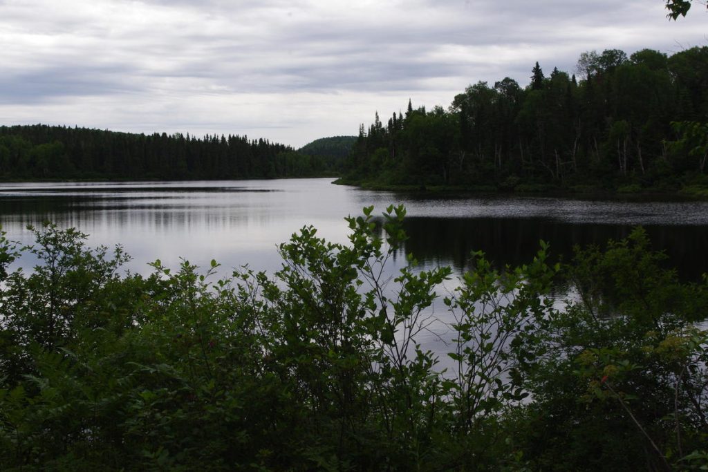 Une étude sur le poisson du lac Édouard L’Écho de la Tuque