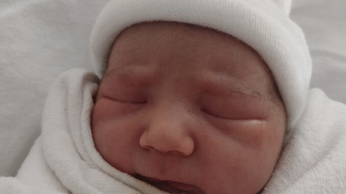 Le premier b?�b?� de 2024 voit le jour - L�????cho de la Tuque